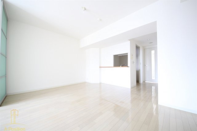 居室・リビング　南堀江アパートメント　グランデ