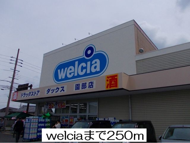 ドラックストア　welcia（ドラッグストア）まで250m