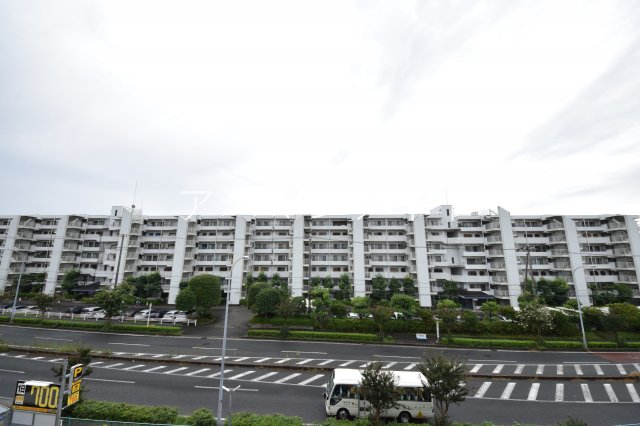 眺望　こんな感じです！