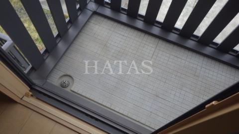 バルコニー　同物件別部屋です。