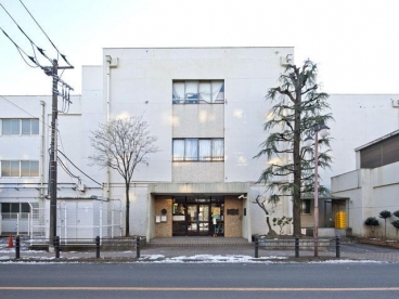 小学校　国立市立第五小学校（小学校）まで527m