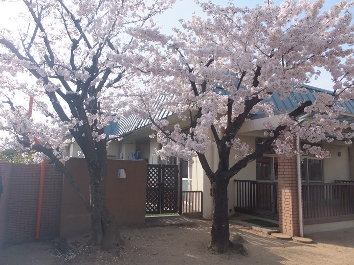 幼稚園・保育園　わかば保育園（幼稚園・保育園）まで250m