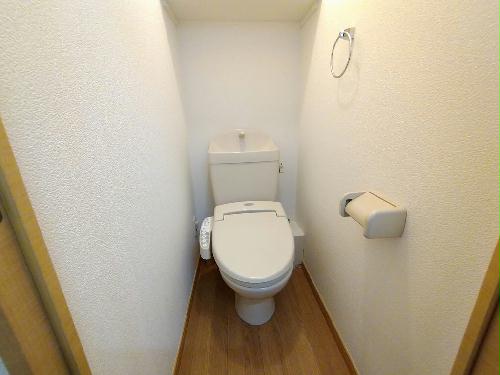 トイレ　温水洗浄便座設置