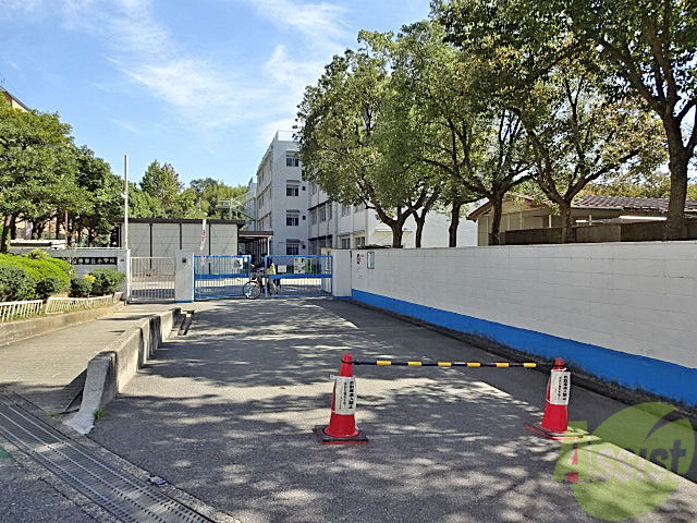 小学校　東泉丘小学校（小学校）まで172m