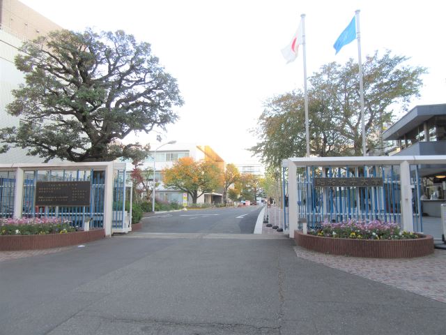 幼稚園・保育園　附属昭和幼稚園（幼稚園・保育園）まで560m