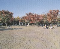 公園　中原平和公園（公園）まで816m