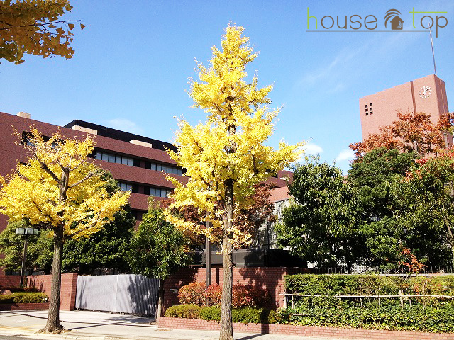 大学・短大　私立武庫川女子大学短期大学部（大学・短大）まで548m