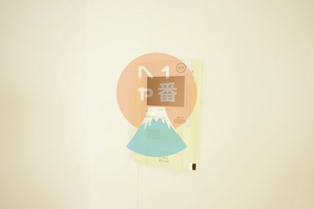 セキュリティ　TVモニターフォン付き