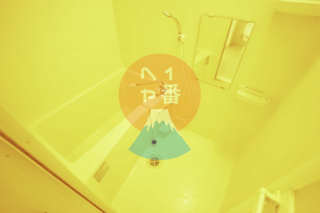 バス・シャワールーム　コンパクトで使いやすいお風呂です