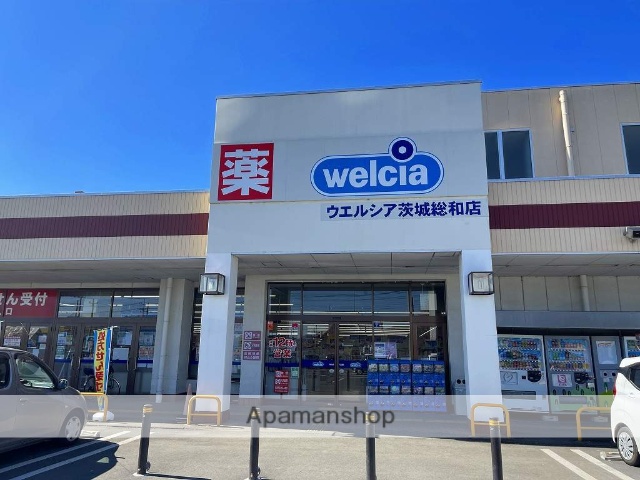 ドラックストア　ウェルシア茨城総和店（ドラッグストア）まで427m