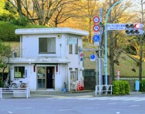 警察署・交番　代々木警察署 代々木公園交番（警察署・交番）まで237m