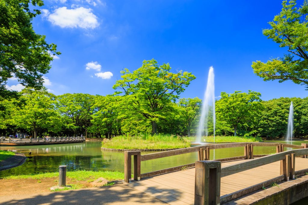 公園　代々木公園（公園）まで534m