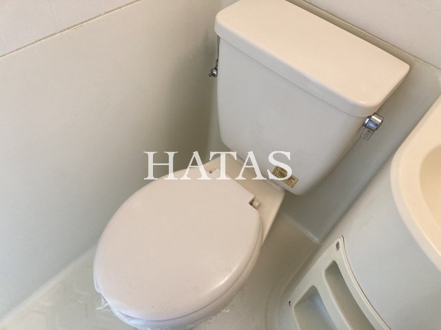 トイレ　同物件別部屋です。