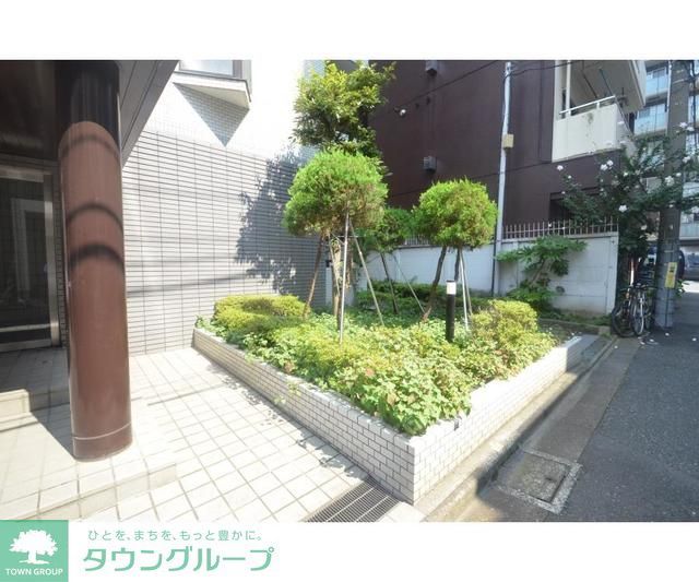 庭