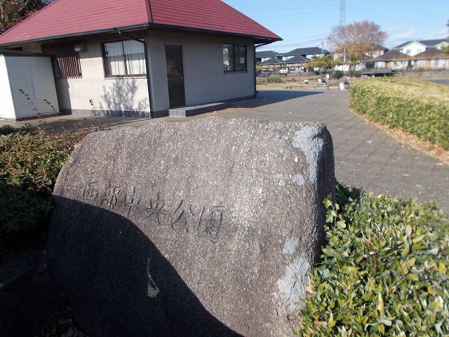 公園　西部中央公園（公園）まで300m