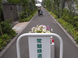 公園　常盤緑道（公園）まで666m