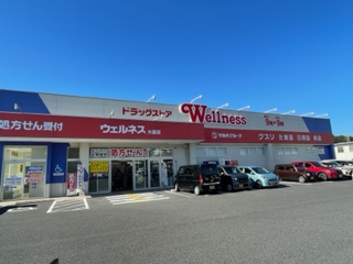 ドラックストア　ドラッグストアウェルネス大庭店（ドラッグストア）まで625m