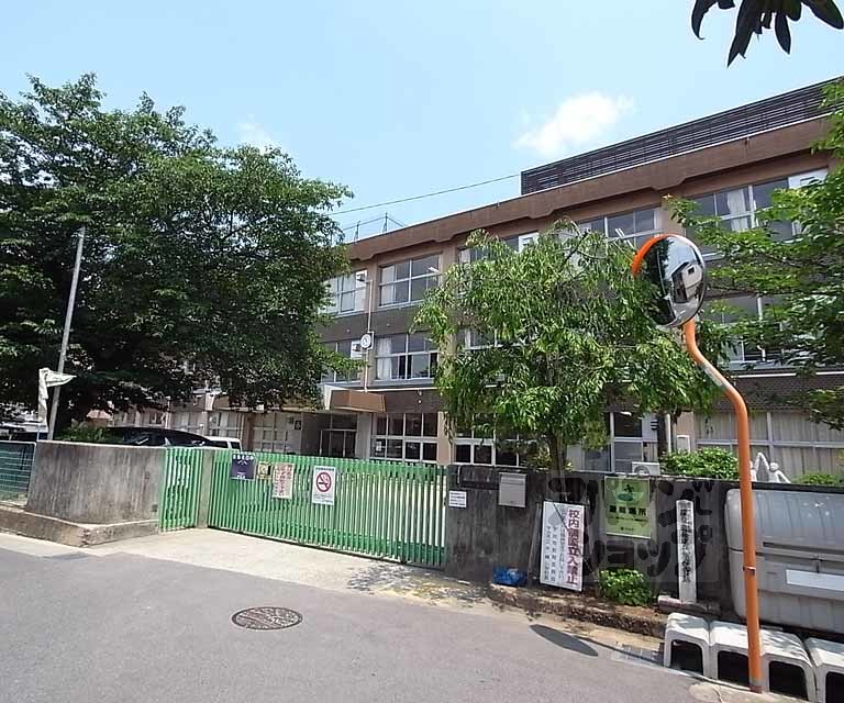 小学校　木幡小学校（小学校）まで243m