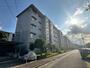 清和台住宅団地９号棟 4階 築52年9ヶ月の賃貸物件