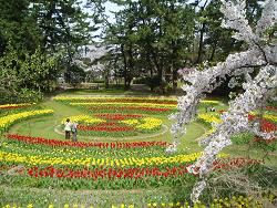 公園　寺尾中央公園（公園）まで1201m