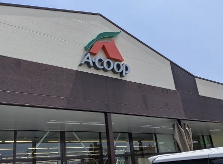 スーパー　エーコープ玉手店（スーパー）まで295m