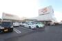 スーパー　パワーマート住吉店（スーパー）まで331m
