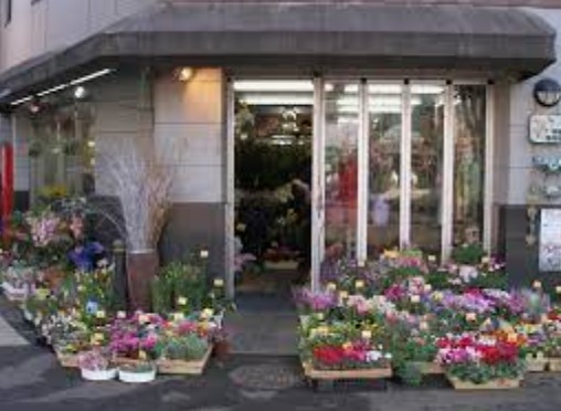 その他　有限会社中野生花店（その他）まで173m