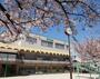 幼稚園・保育園　那珂幼稚園（幼稚園・保育園）まで245m