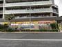 ドラックストア　どらっぐぱぱす 紅葉橋通り店（ドラッグストア）まで429m