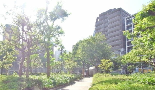 公園　長浜公園（公園）まで193m