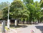公園　行徳駅前公園（公園）まで355m
