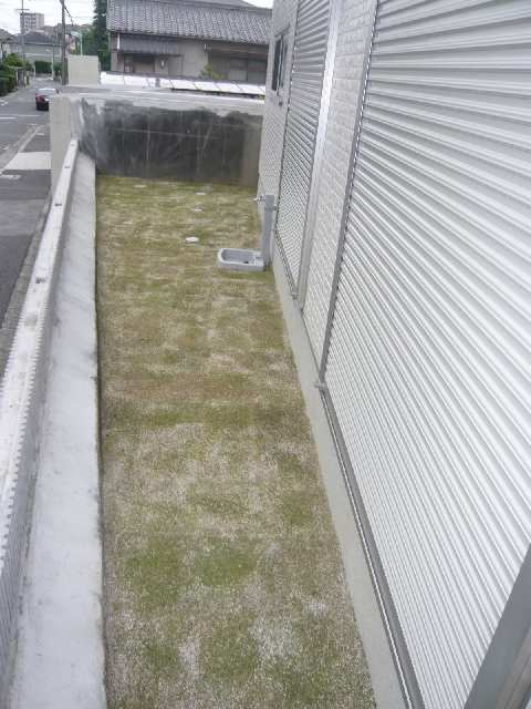 庭