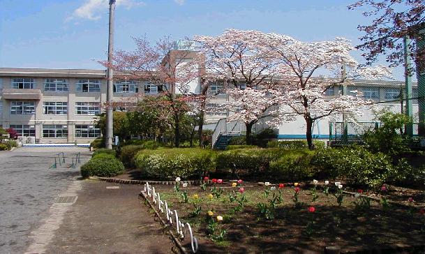 小学校　八王子市立 松枝小学校（小学校）まで981m