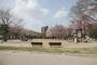 公園　志賀公園（公園）まで1198m
