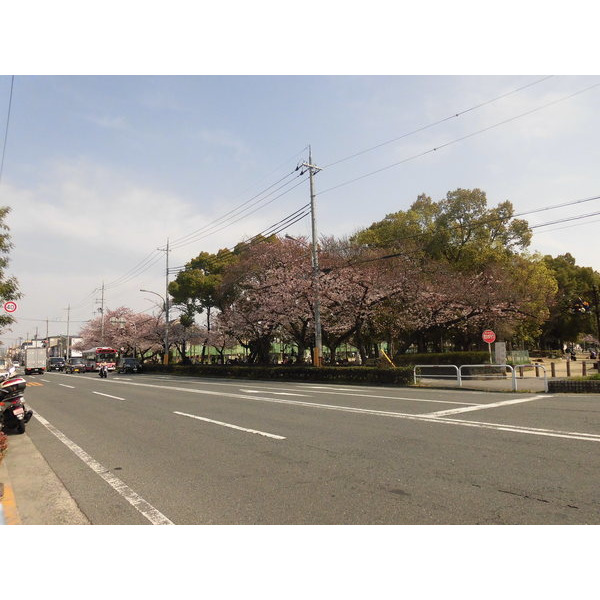 公園　大枝公園（公園）まで2030m