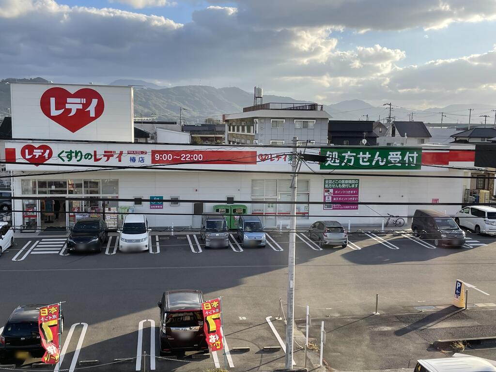 ドラックストア　くすりのレデイ椿店（ドラッグストア）まで890m