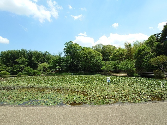 公園　せせらぎ公園（公園）まで657m