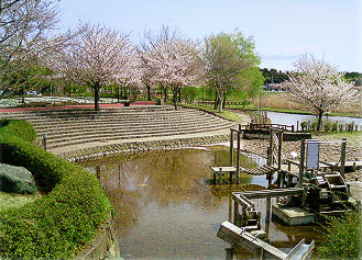 公園　北柏ふるさと公園（公園）まで1100m