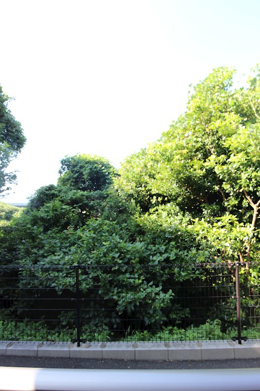眺望　※別号室の写真です。