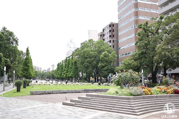 公園　大通り公園（公園）まで558m