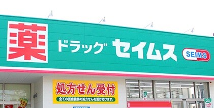 【パークレジデンス六町のドラックストア】