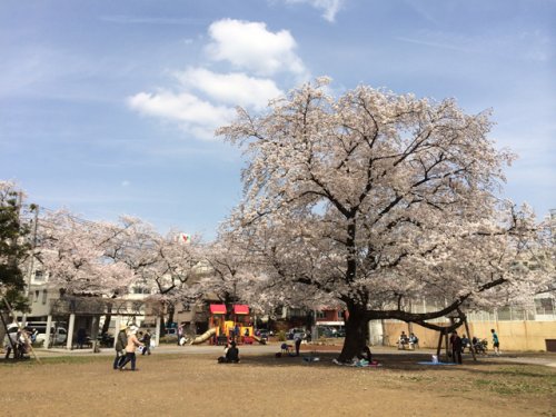 【ルフォンプログレ滝野川の公園】