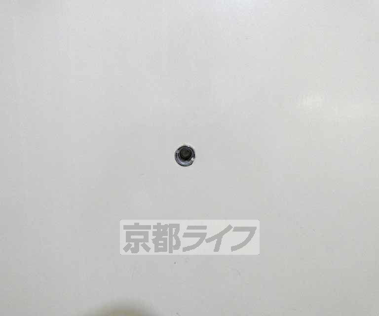 セキュリティ　覗き穴です