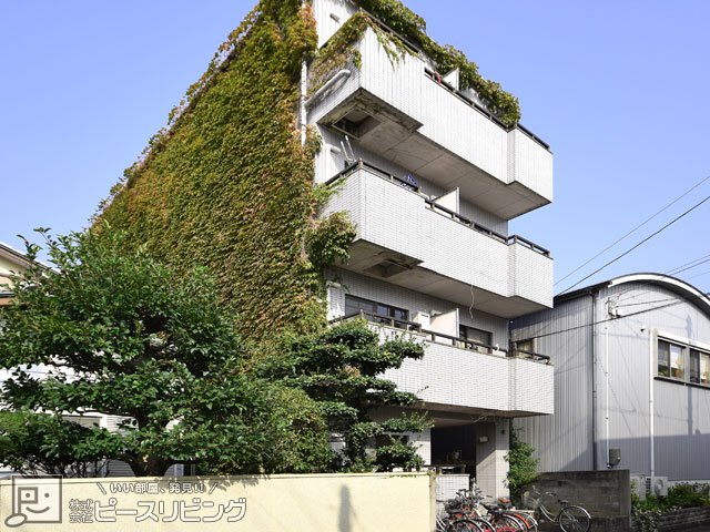 建物外観　シティハイツ助任