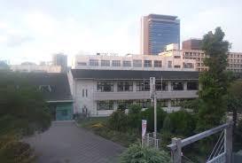 小学校　高槻市立桃園小学校（小学校）まで169m