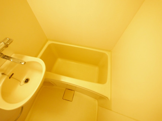 バス・シャワールーム　落ち着いた空間のお風呂です