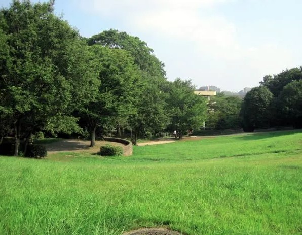 その他　横浜市茅ヶ崎公園（その他）まで1341m