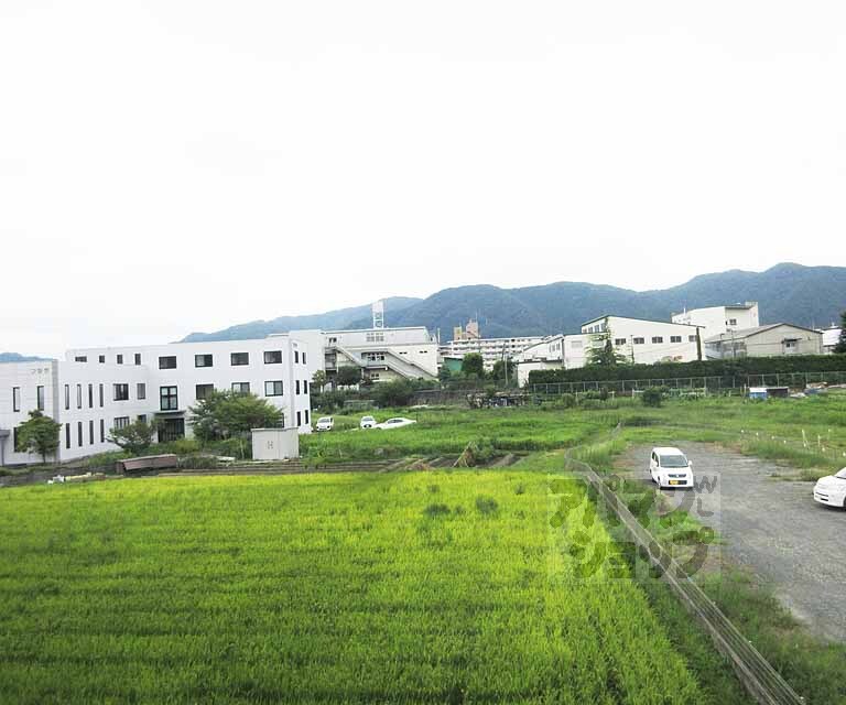 眺望　のどかです