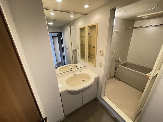 洗面設備　人気設備、独立洗面台