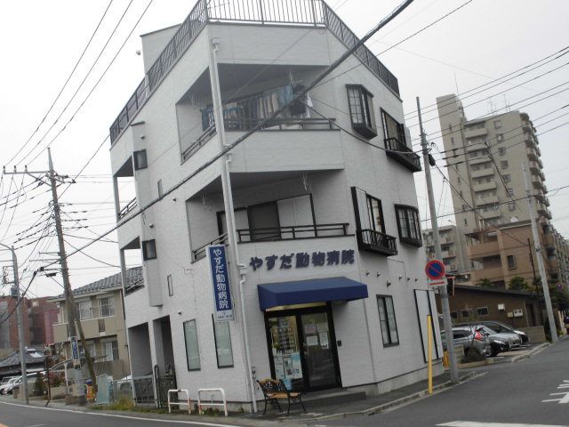 病院　やすだ動物病院（病院）まで127m